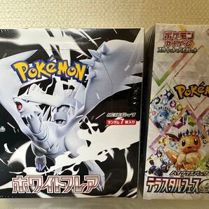 ホワイトフレア テラスタルフェス 新品未開封 シュリンク付き