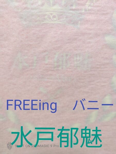食戟のソーマ 水戸郁魅 バニー フィギュア フリーイング FREEing 1/4 ビキニアレンジ 2023年10月購入