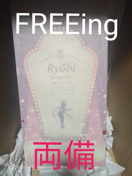 閃乱カグラ NEW LINK 両備 バニー フィギュア FREEing フリーイング シノビマスター