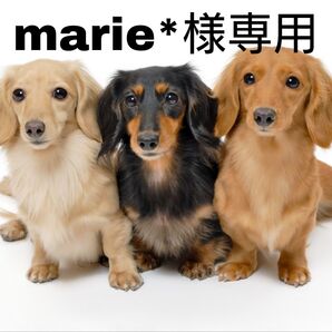 marie*様専用 デッキシールド スリーブ ポケモンカード 14枚