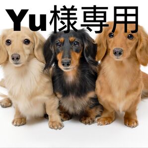 Yu様専用 ポケモンカード デッキシールド スリーブ27枚