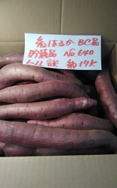 超お得!! 訳あり☆限定品☆ねっとり甘い貯蔵品紅はるかBC品約17Kgです。 サツマイモ 千葉県産 べにはるか