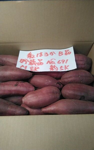 超お得!! 訳あり☆限定品☆ねっとり甘い貯蔵品紅はるかB品約5Kgです。 千葉県産 さつまいも べにはるか