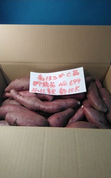 超お得!! 訳あり☆限定品☆ねっとり甘い貯蔵品紅はるかC品約10Kg です。 サツマイモ べにはるか 千葉県産
