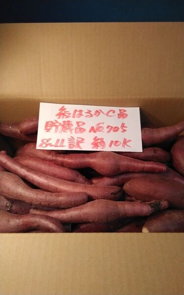 超お得!! 訳あり☆限定品☆ねっとり甘い貯蔵品紅はるかC品約10Kです。 千葉県産 べにはるか サツマイモ
