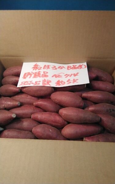 超お得!! 訳あり☆限定品☆ねっとり甘い貯蔵品紅はるかB品(美)約5Kgです。 サツマイモ 千葉県産 べにはるか最終品