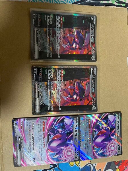 ゲノセクトexSAR2枚 RR2枚