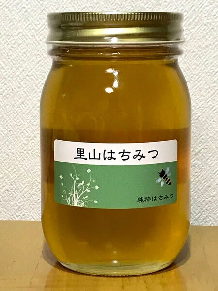 2025年収穫「生ハチミツ」天然 純粋 奈良県産 里山はちみつ 600g 1本入り 価格変更不可