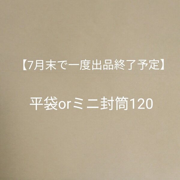 【7月末で一度出品終了予定】平袋orミニ封筒120