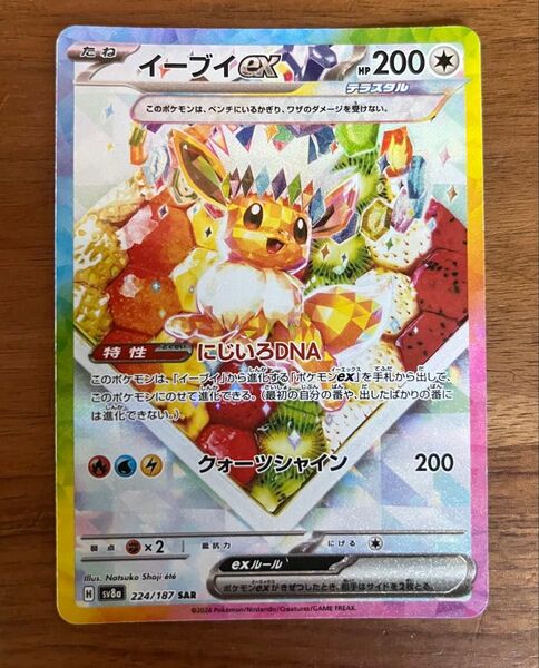 ポケモンカード イーブイex SAR 224/187 テラスタルフェスex
