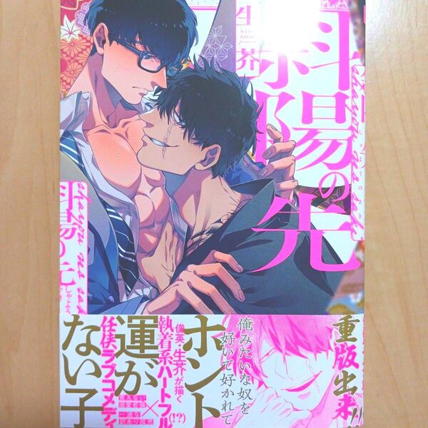 斜陽の先 生芥