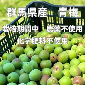 青梅5キロ