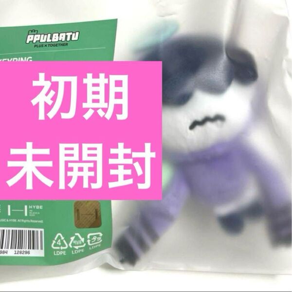 未開封 初期 フムニャリン キーリング