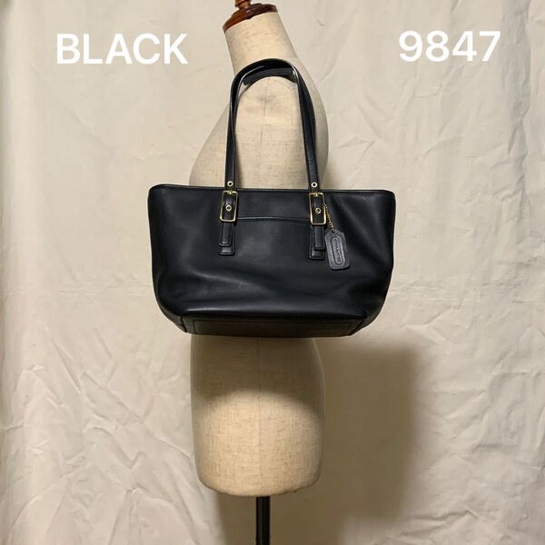OLD COACH オールドコーチ 9847 クリーニング コンディショニング済