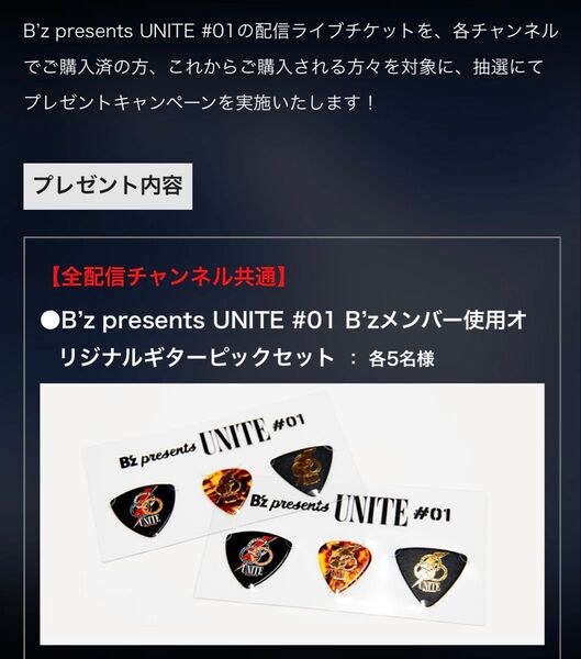 B'z Unite #01 抽選ピックセット ライブグッズセット