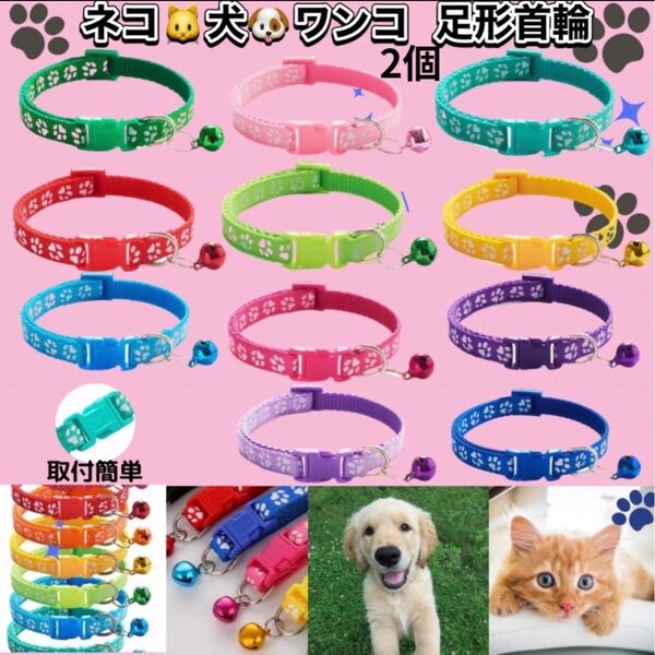 まとめ買い 首輪 犬 猫 用 肉球 小型犬 バックル止め長さ調整可2個SET