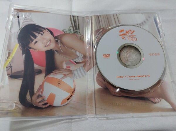 DVD 香月杏珠 ニャンこれ