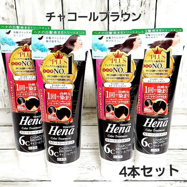 テンスター カラートリートメント チャコールブラウン 250g
