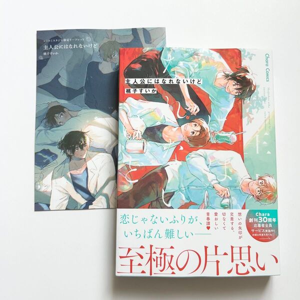 主人公にはなれないけど 桃子すいか先生
