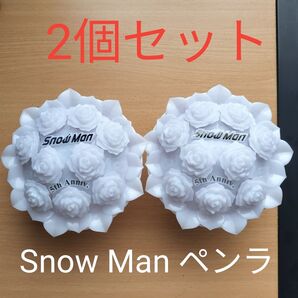 【2個セット】Snow Man ペンライト 1st Stadium Live -Snow World-