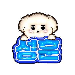 ぷっくりネームボード ソンフン エナプ enhypen エナプ ネムボ
