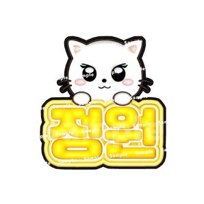 ENHYPEN ジョンウォン ぷっくり ネームボード ネムボ エナプ