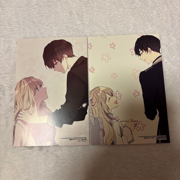 緑陰の冠 特典イラストカード 丸善ジュンク堂書店、アニメイト