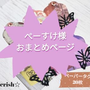 ぺーすけ様 おまとめページ