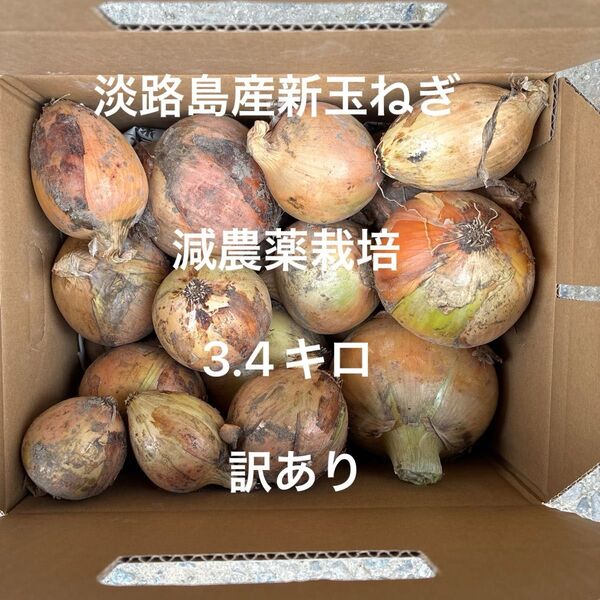減農薬栽培 淡路島産新玉ねぎ ナカテ アンサー 安心安全 訳あり 箱込み3.4キロ 24時間カウントダウン出品し直しOK
