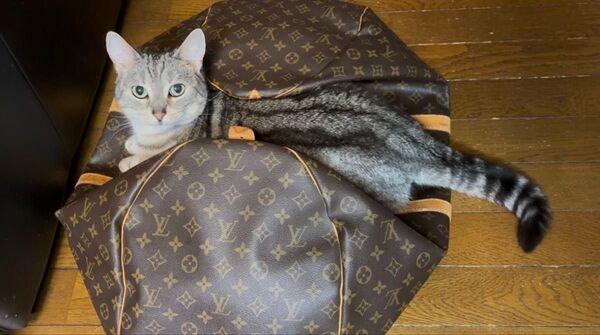 LOUIS VUITTON ルイヴィトン キーポル50 ボストンバッグ モノグラム