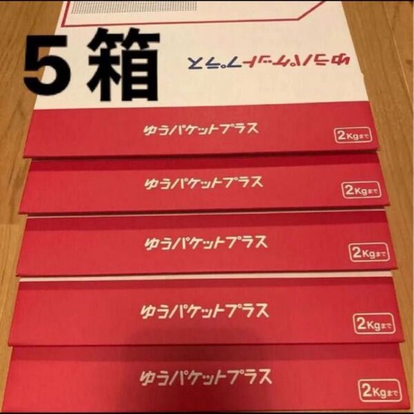 【未使用】ゆうパケットプラス箱 5箱