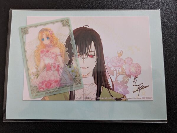 ある日、お姫様になってしまった件について 11 (フロースコミック) Spoon/漫画 TSUTAYA特典+応援書店特典