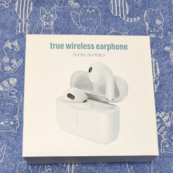 true wireless earphone ワイヤレスイヤホン
