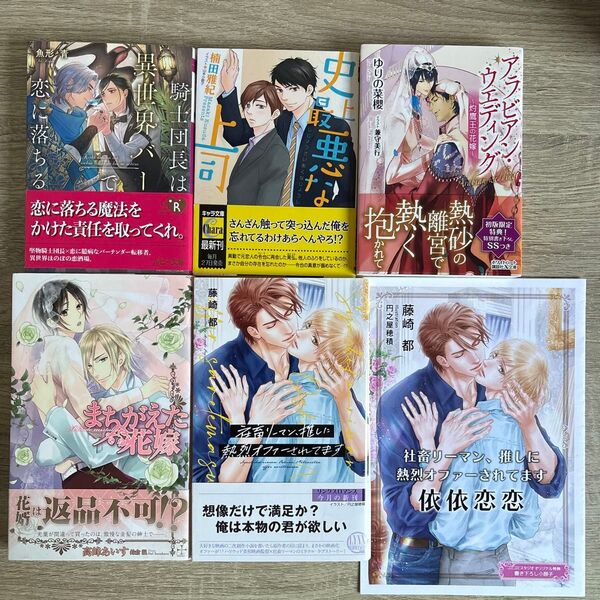 騎士団長は異世界バーで恋に落ちる、他/魚形青、他/BL小説【sun 様】