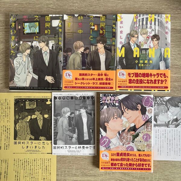 国民的スターシリーズ、ひとめぼれに効くクスリ/小林典雅/BL小説