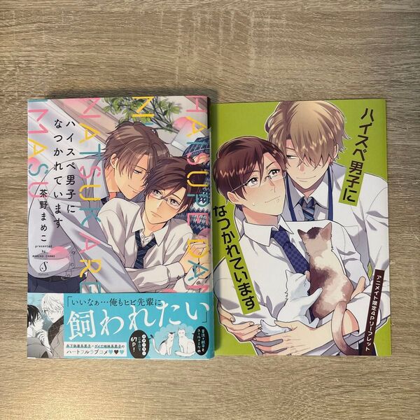 ハイスペ男子になつかれています/茶野まめこ/BLコミック