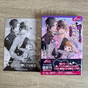 猫になる魔法をかけられたけど、スパダリ魔法使いと子育て頑張ります!/深森ゆうか/BL小説