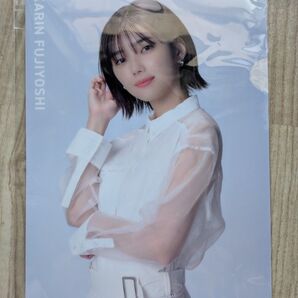 Karin Fujiyoshi クリアファイル A4 未使用