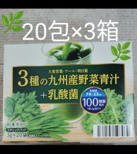 3種の九州産野菜青汁 3g×20包×3箱 +乳酸菌Fk-23