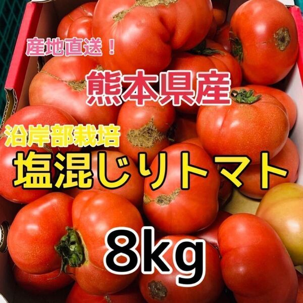 熊本県産 塩混じり トマト 約8kg(送料無料)