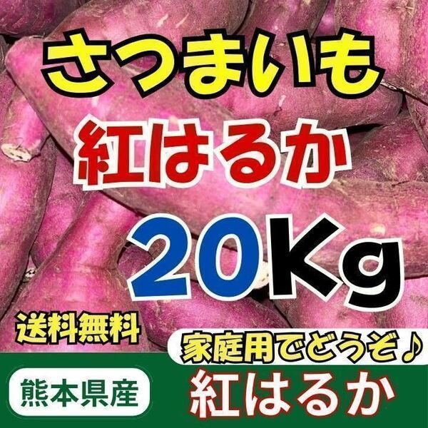 熊本県産 紅はるか さつまいも 約20kg 送料無料!