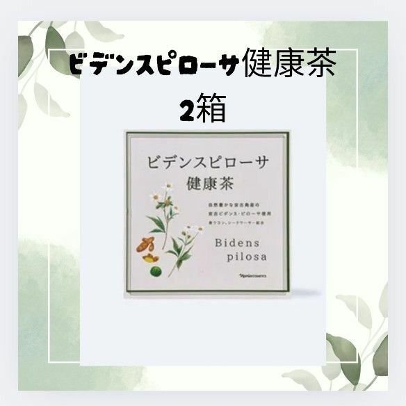 ナリス化粧品 ビデンスピローサ 健康茶×2箱