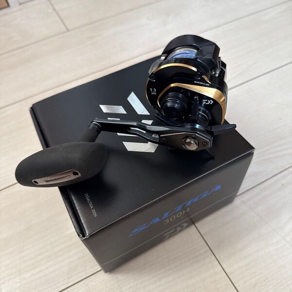 25 ソルティガ 300H