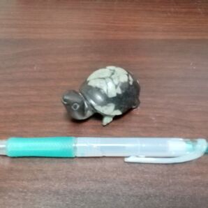 ペーパーウエイト 牡丹石 亀