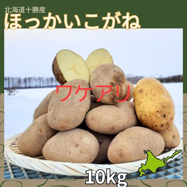 *訳アリ【10kg】北海道産 じゃがいも ほっかいこがね シャドークイーン ノーザンルビー 【農家直送】