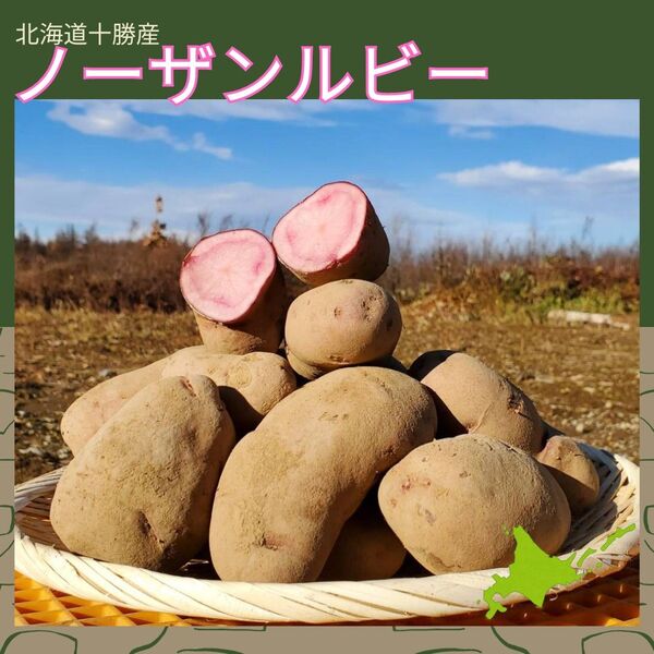 *訳アリ【2.5kg】北海道産 じゃがいも シャドークイーン ノーザンルビー 【農家直送】
