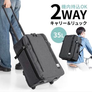 サンワサプライ リュックキャリーバッグ 200-BAGCR007BK グレー 未使用