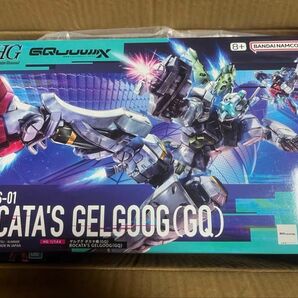 HG 機動戦士Gundam GQuuuuuuX ゲルググ ボカタ機(GQ)
