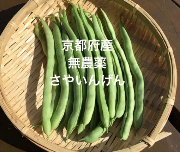 京都府産 無農薬 さやいんげん 450g ネコポス 匿名配送