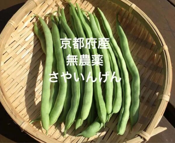 京都府産 無農薬 さやいんげん 450g ネコポス 匿名配送